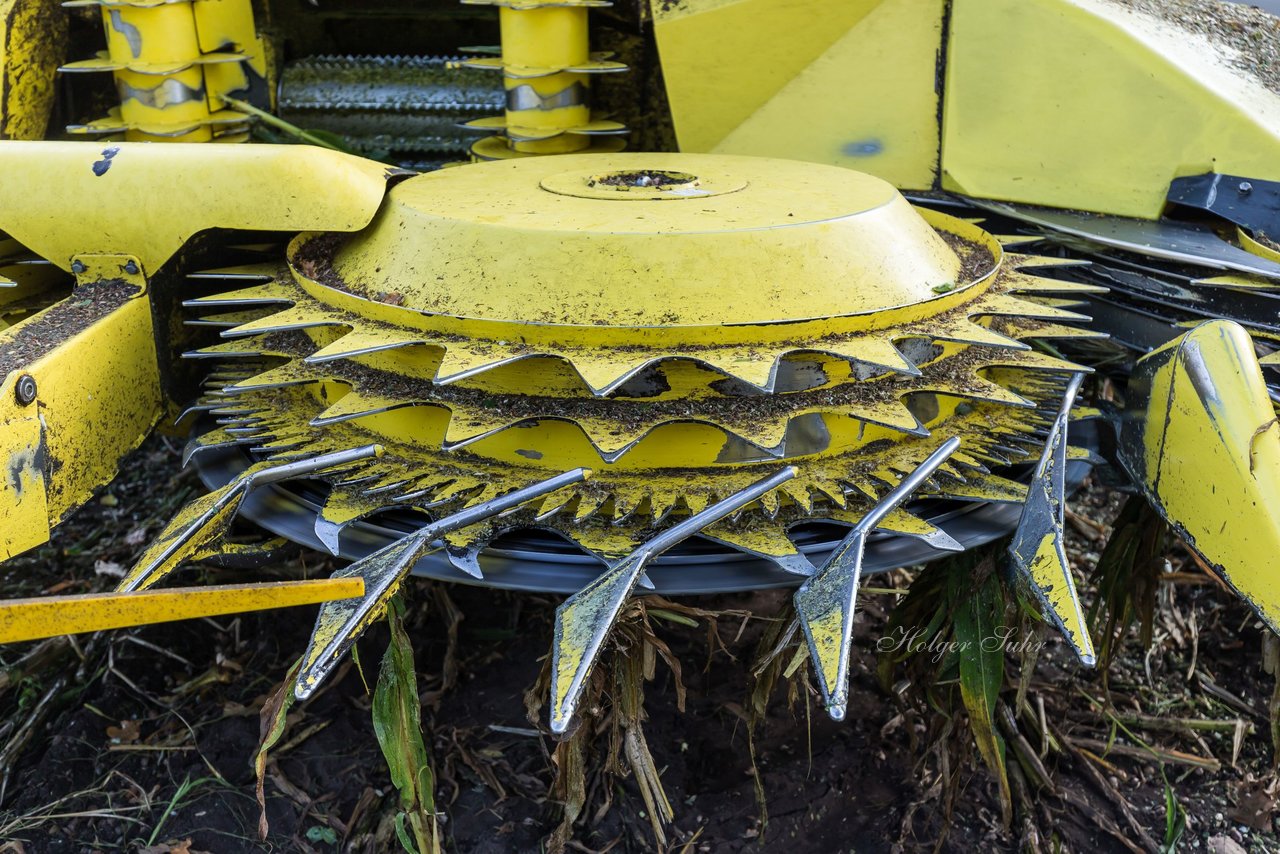 Bild 236 - Maisernte